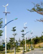 風(fēng)光互補路燈005